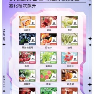 XIAOKE 可替換式電子煙 (對應 RELX6代) (選購款)
